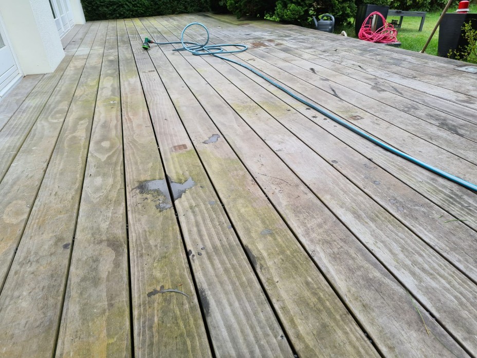 Holzterrasse vergrünt vor der Reinigung Holzterrasse vergrünt vor der Reinigung